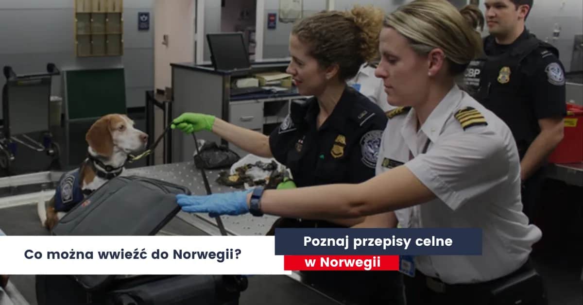 Co można przewieźć do Norwegii? Ograniczenia i ważne informacje